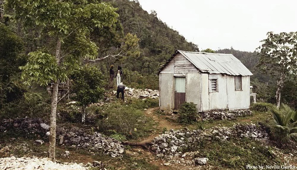 bob marley foundation