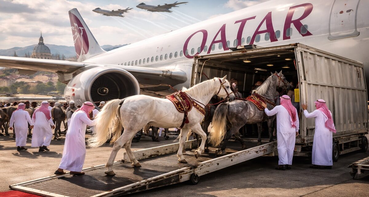 When The Qatari Horses and Planes Reach Europe 26 qatar-horse.jpg