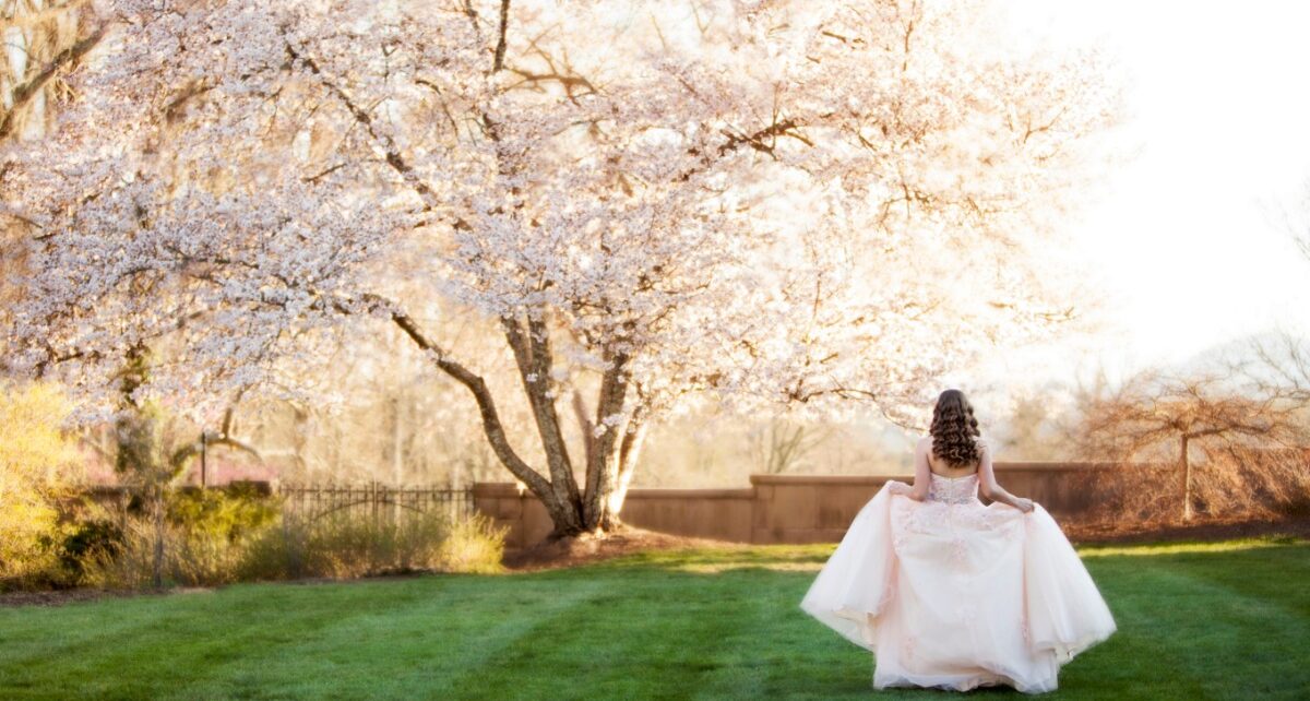 A teen girl in a formal dress walks across a grassy yard toward a blooming tree, viewed from behind with dress spread out.