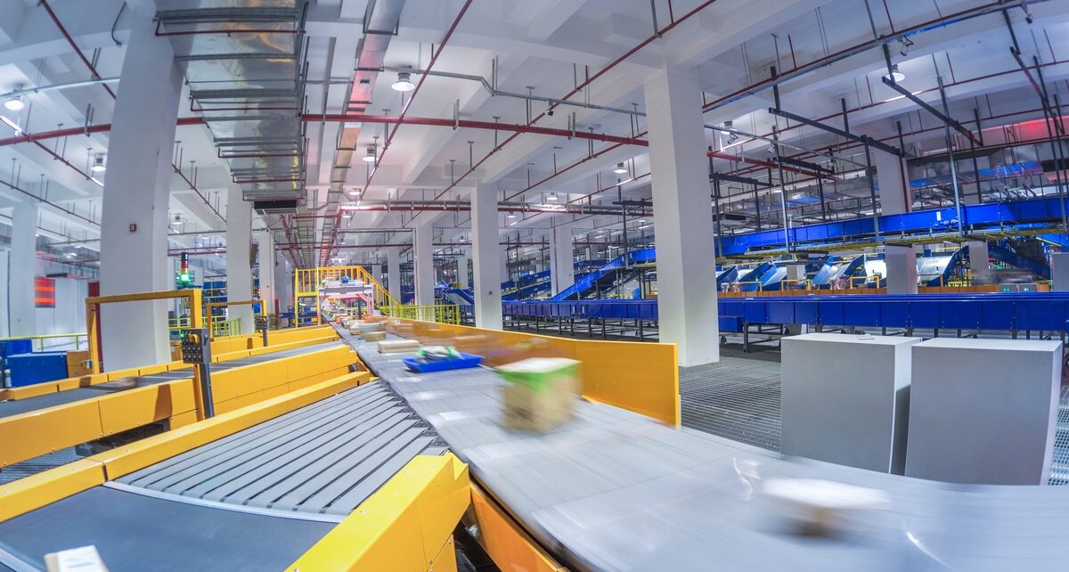 AmericasSeedBelting-429994-conveyor-belt-sorting-image1