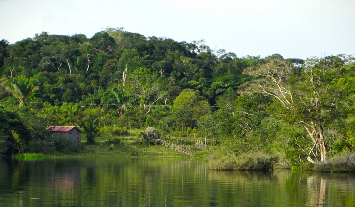 Raimundo Teixeira estevesbae