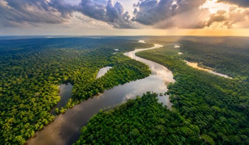 amazon-brazil-brasil.jpg