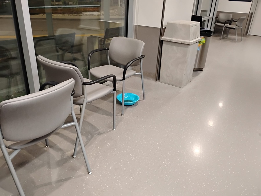 Human Feces in the Hallway, Patients Waiting 16 Hours, and the Same Healthcare Promises We Have Heard for Decades 1 Feces