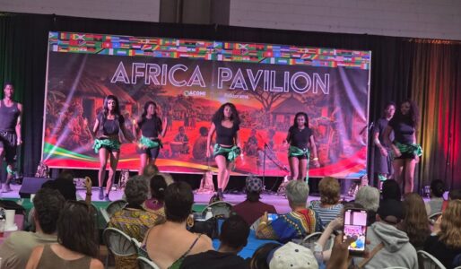 africa-pavilion.jpg